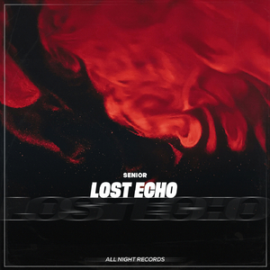 Lost Echo