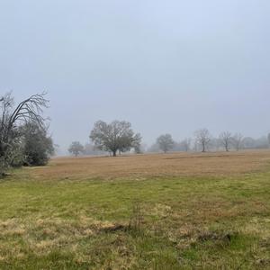 What Is Wrong With Me?