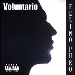 Voluntario