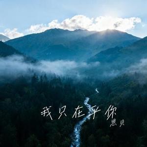我只在乎你 (恩贝 Remix)
