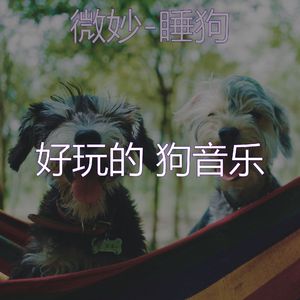 可爱的(狗)