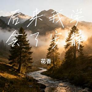 后来我学会了安静