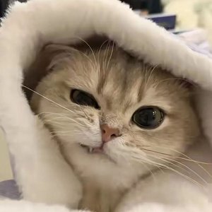 0206_18时41分37秒_音频格式转换.wav