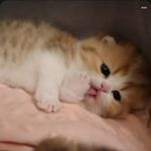 West Side Highway (slowed)