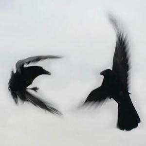 PRODUCT (feat. Farrah)