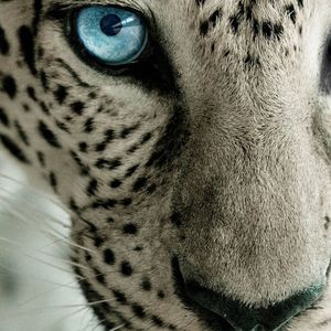 坚韧 prod. Yn1Jasper