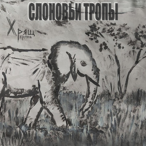 Слоновьи тропы