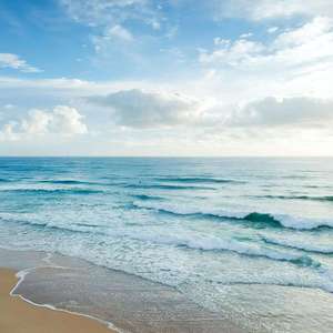 【Free】想去海边 | PopPunk x 周杰伦 x MGK type beat