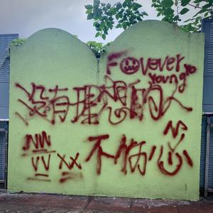 没有理想的人不伤心