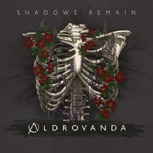 Shadows Remain