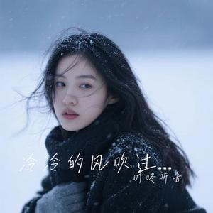 冷冷的风吹过没你的冬 (Cover 窝窝)