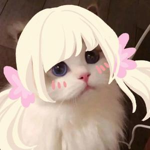 春天，樱花和你