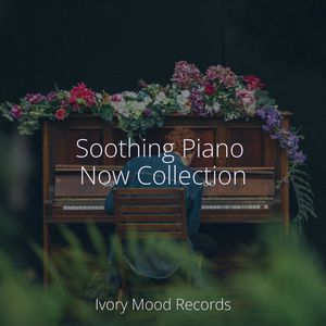 Echoes of the Ancestors