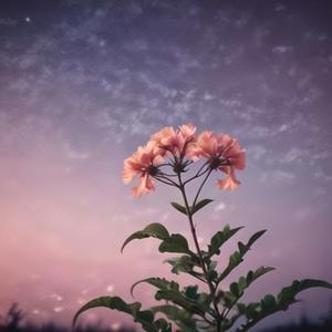 前方的路充满沧桑