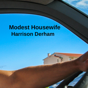 Modest Housewife