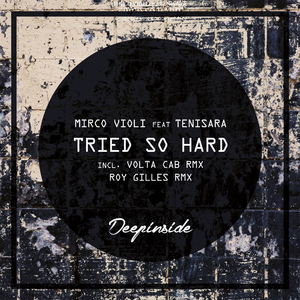 Tried So Hard (Roy Gilles Basement Soul Re-werk)