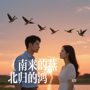 《南来的燕北归的鸿》