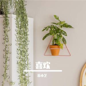 你（zhi）