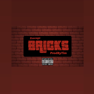 Bricks