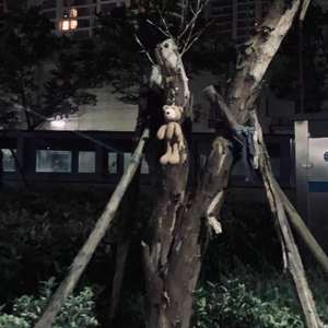 小虫虫（prod by E.PINE）