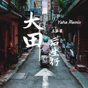 王玉萌-大田后生仔（抖音DJ咚鼓版）（DjYaha Remix）