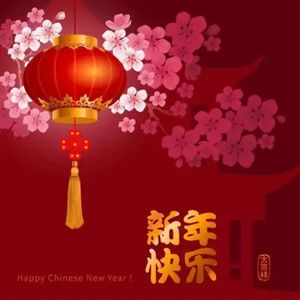 2025年一切随心愿