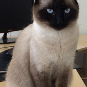 Let the Record Skip (slowed)