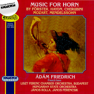 Horn Concerto in E-Flat Major:III. Allegro