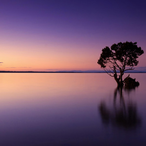 失眠时总在想你 (睡眠音乐)