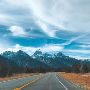 Goosebumps