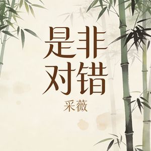 是非对错