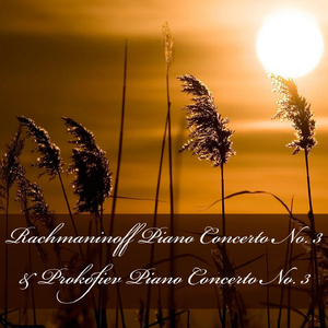 Piano Concerto No. 3 in D Minor, Op. 30: I. Allegro ma non tanto