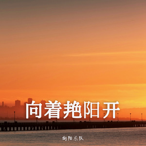 向着艳阳开
