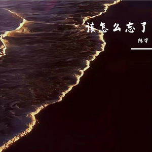 该怎么忘了（演唱版）