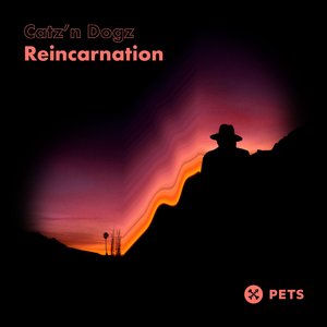 Reincarnation
