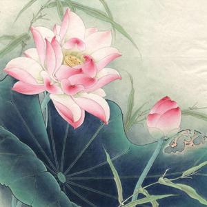 如果下次遇见你