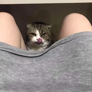 阿索阿索哒哒哒迷幻旋律串烧