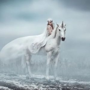 你看不到的天空