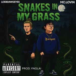 Snakes in my grass