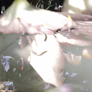 Ver a Través de tus Ojos