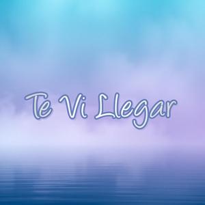 Te Vi Llegar