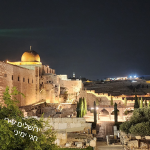 ירושלים עירי