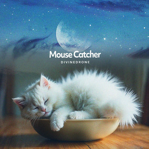 Mouse Catcher