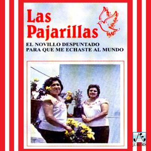 Paloma Blanca Piquito Negro