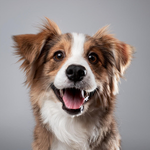 Flotando Cómodamente