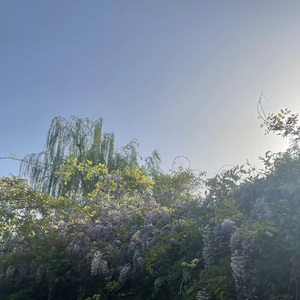 这一生关于你的风景