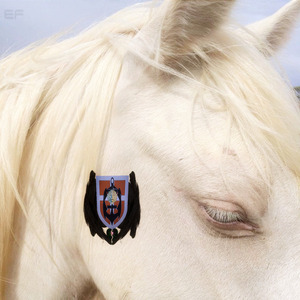 Seraphim's Trying to Escape from the City