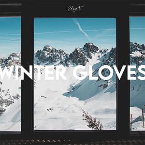Winter Gloves