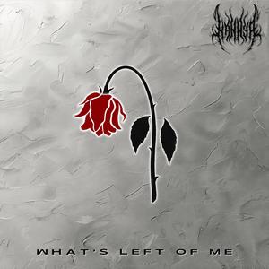 What's Left Of Me