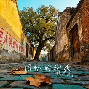 回忆的街道